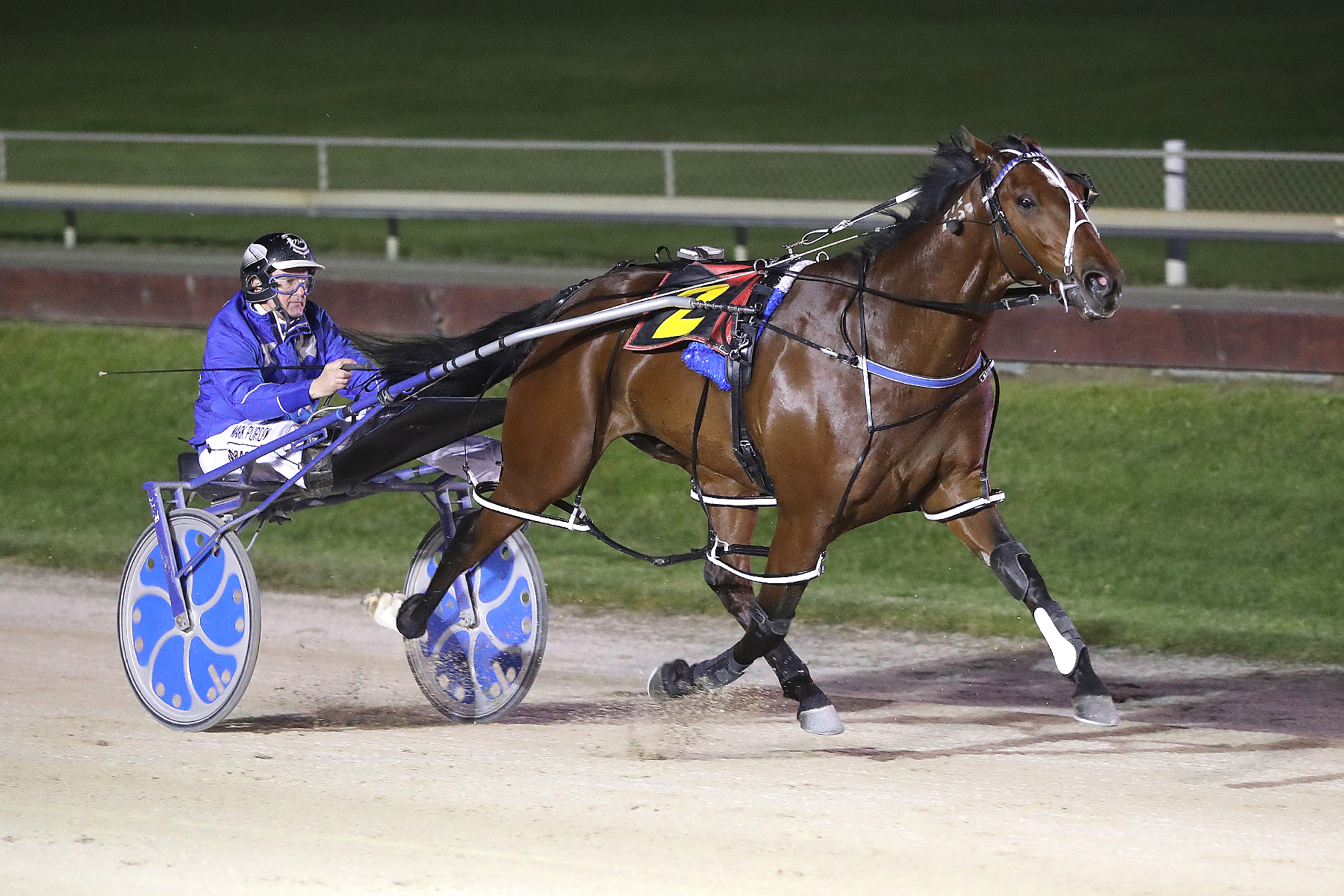 Sinbad (NZ)